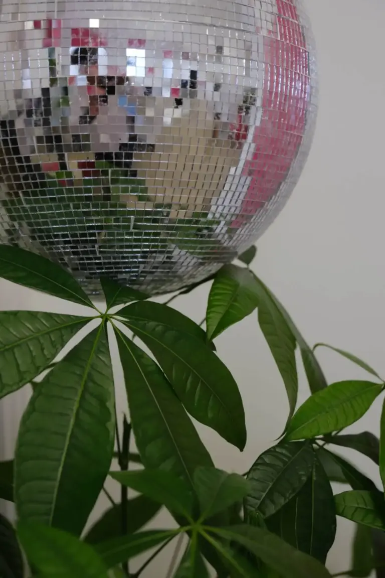 Disco ball above a green plant
